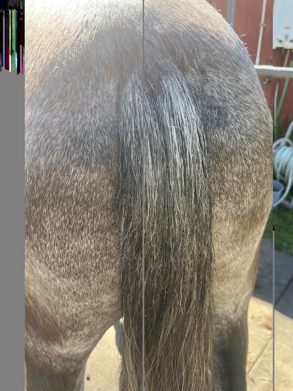 Mane Wax product